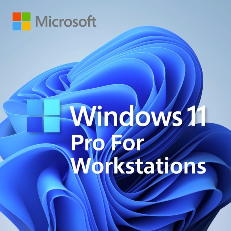 Microsoft Windows 11 Pro Workstation 64bit - Ultimate OS for